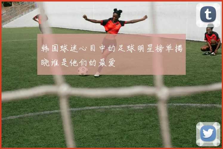 韩国球迷心目中的足球明星榜单揭晓谁是他们的最爱