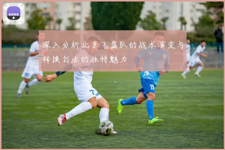 深入分析北京飞盘队的战术演变与转换打法的独特魅力