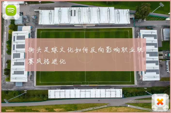 街头足球文化如何反向影响职业联赛风格进化