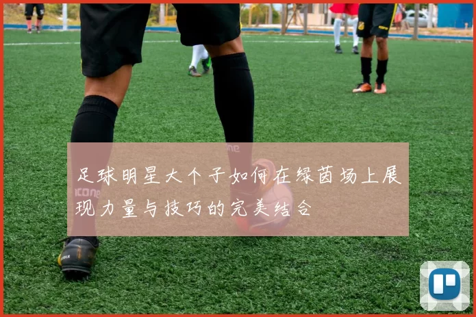 足球明星大个子如何在绿茵场上展现力量与技巧的完美结合