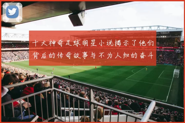 十大神奇足球明星小说揭示了他们背后的传奇故事与不为人知的奋斗历程