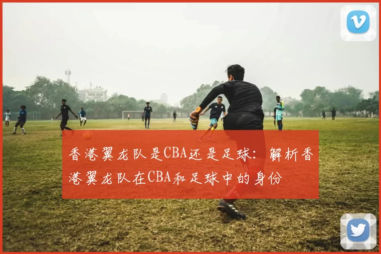 香港翼龙队是CBA还是足球：解析香港翼龙队在CBA和足球中的身份