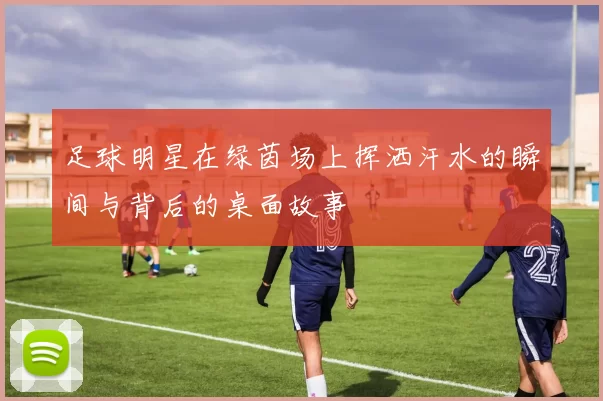 足球明星在绿茵场上挥洒汗水的瞬间与背后的桌面故事