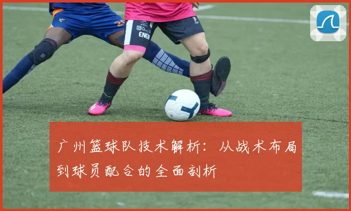 广州篮球队技术解析：从战术布局到球员配合的全面剖析