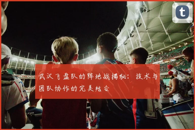 武汉飞盘队的阵地战揭秘：技术与团队协作的完美结合