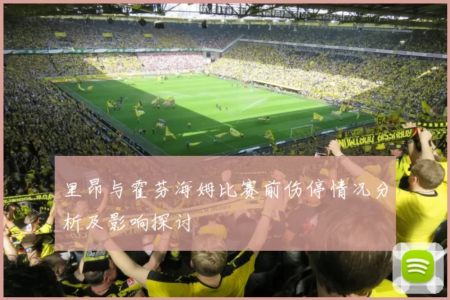 里昂与霍芬海姆比赛前伤停情况分析及影响探讨
