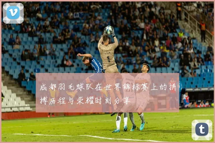 成都羽毛球队在世界锦标赛上的拼搏历程与荣耀时刻分享