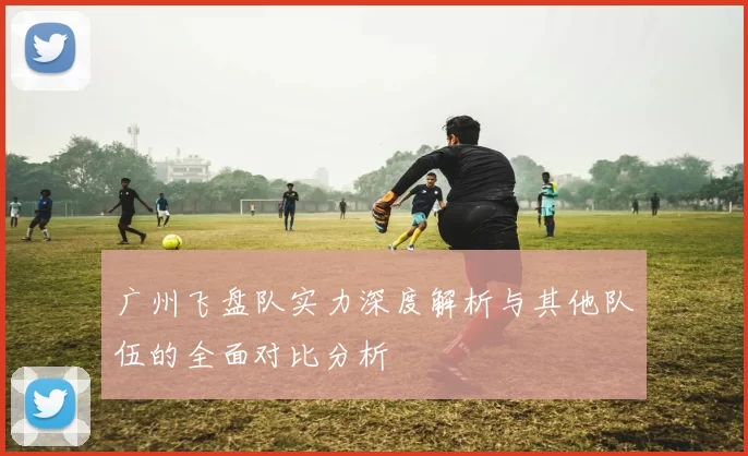 广州飞盘队实力深度解析与其他队伍的全面对比分析