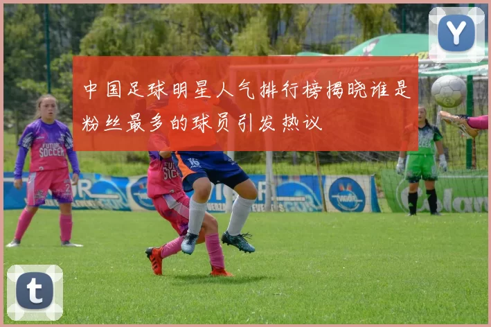 中国足球明星人气排行榜揭晓谁是粉丝最多的球员引发热议