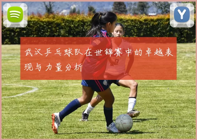 武汉乒乓球队在世锦赛中的卓越表现与力量分析