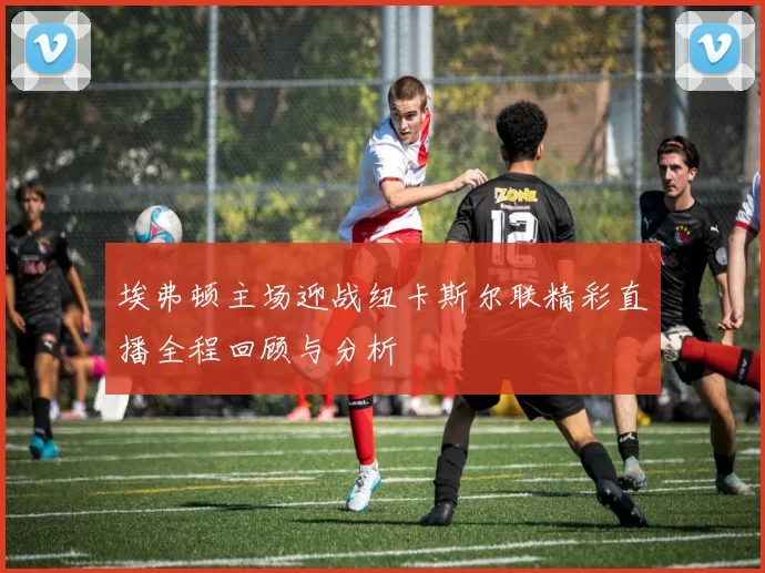 埃弗顿主场迎战纽卡斯尔联精彩直播全程回顾与分析