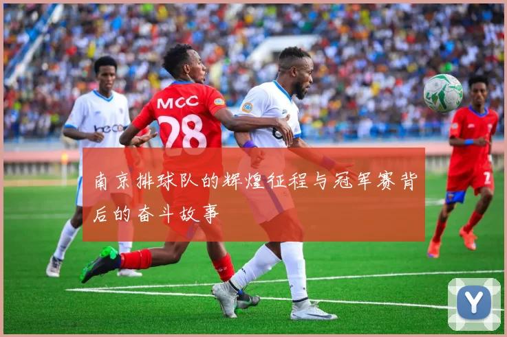 南京排球队的辉煌征程与冠军赛背后的奋斗故事