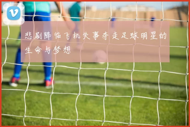 悲剧降临飞机失事夺走足球明星的生命与梦想